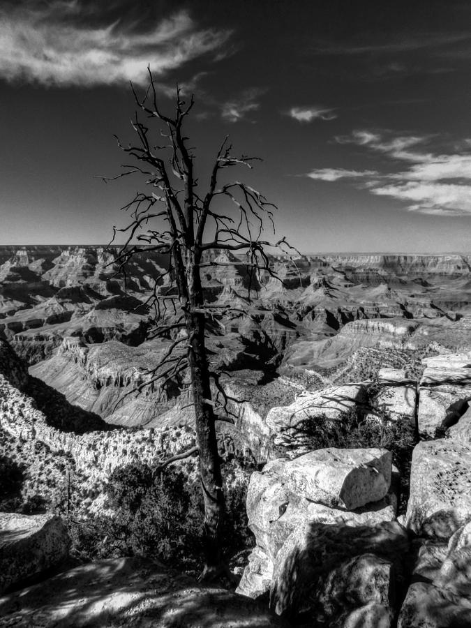 Arizona - Grand Canyon 012 Photograph by Lance Vaughn