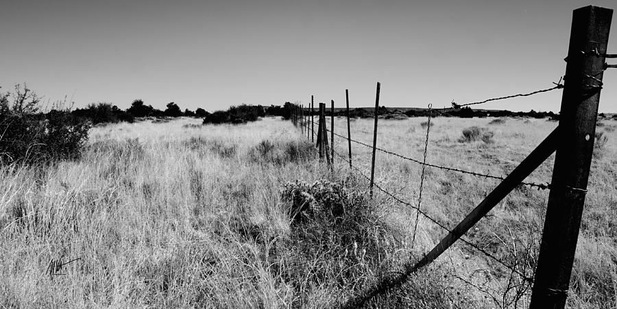 Arizona Grasslands Photograph by Mark Valentine