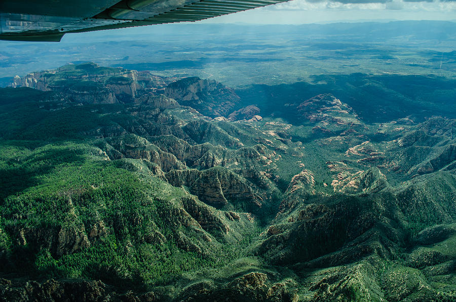 Arizona Greenery Photograph by Alan Marlowe