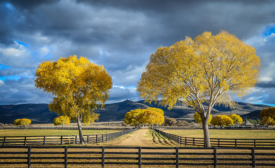Arizona Horse Ranch Photograph by David Downs