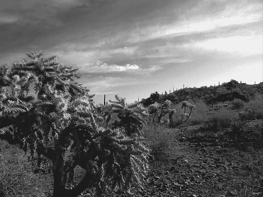 Black And White Photograph - Arizona In The Shadows by Glenn McCarthy Art and Photography