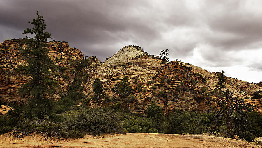 Arizona Landscape 0053 Photograph by Deidre Elzer-Lento