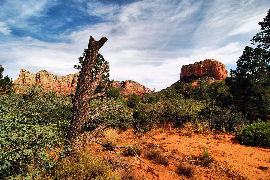 Arizona Landscape Photograph by Donnie Shackleford - Fine Art America