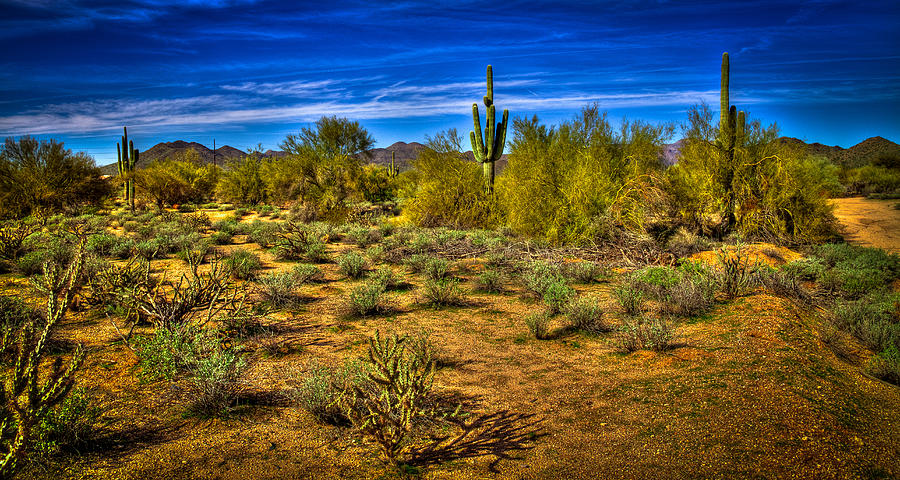 Arizona Landscape IV Photograph by David Patterson