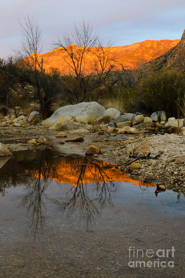 Arizona Landscape Photograph by John Shaw