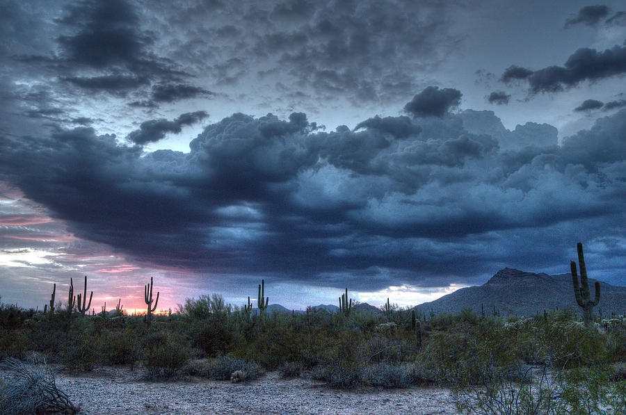 Arizona Monsoon Photograph by Tam Ryan