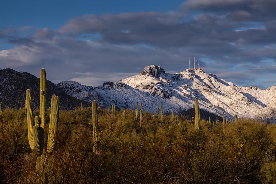 Tucson Photograph - Arizona Mountains in Snow by Rob Travis