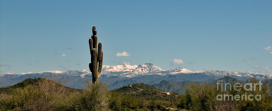 Arizona Mountains Photograph by Marilyn Smith