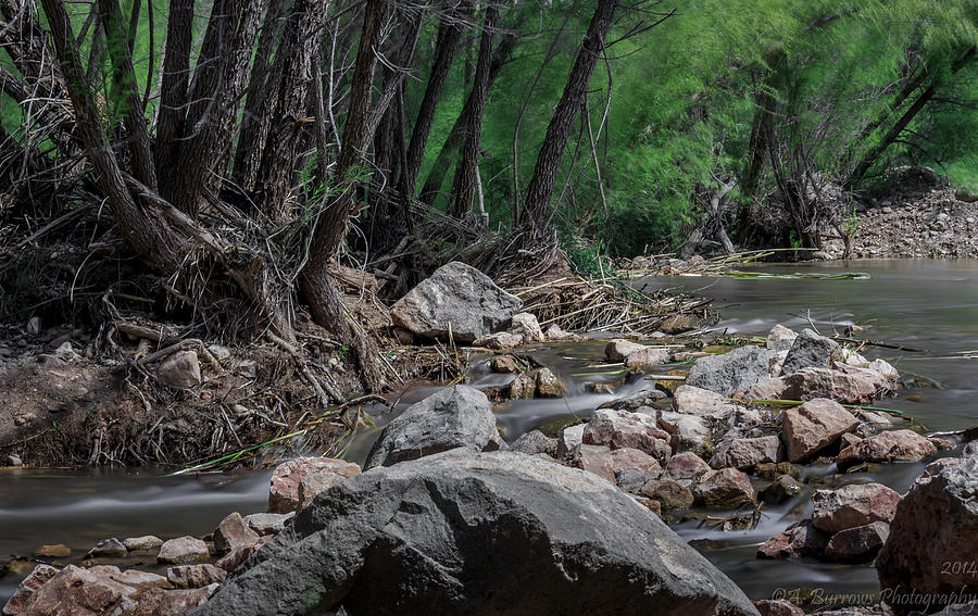 Arizona Riparian Flows Photograph by Aaron Burrows