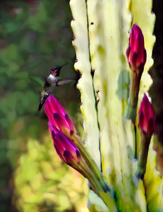 Hummingbird Painting - Arizona Ruby Humming Bird Painting by Bob and Nadine Johnston
