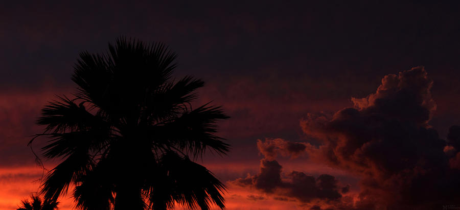 Arizona September Sunset Photograph by Elaine Malott