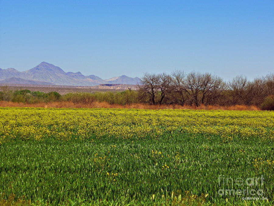 Mountain Photograph - Arizona Spring by Two Hivelys