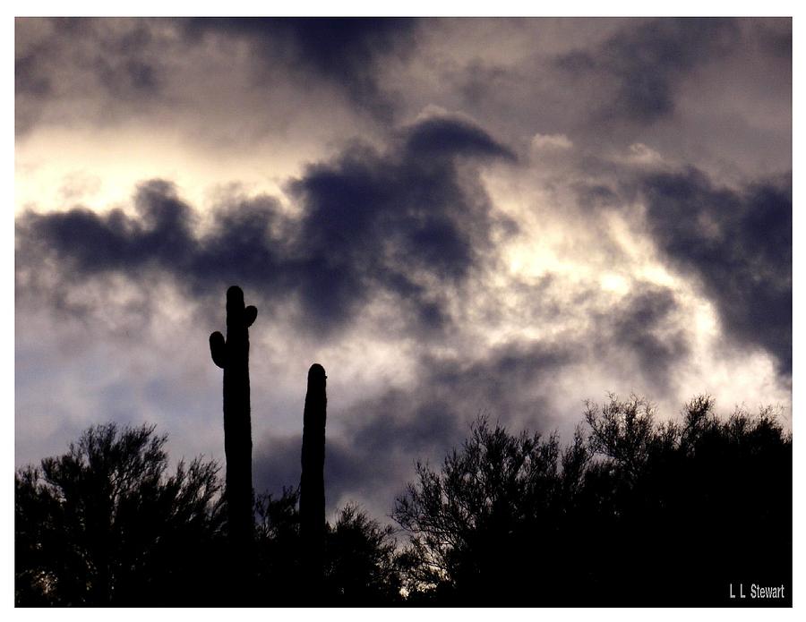 Arizona Storm Photograph by L L Stewart
