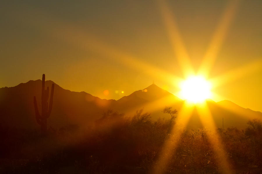 Arizona Sun Photograph by James BO Insogna