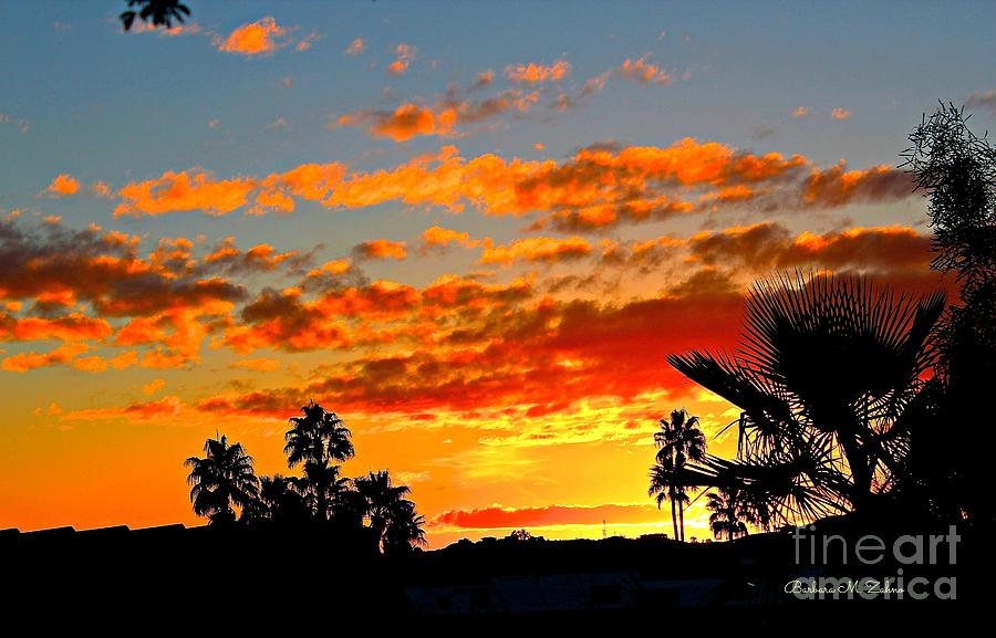 Beautiful Arizona Sunset Photograph by Barbara Zahno