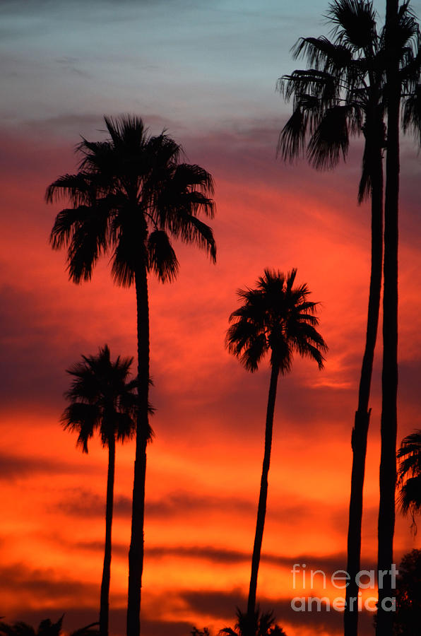 Sunset Photograph - Arizona Sunset by Deb Halloran