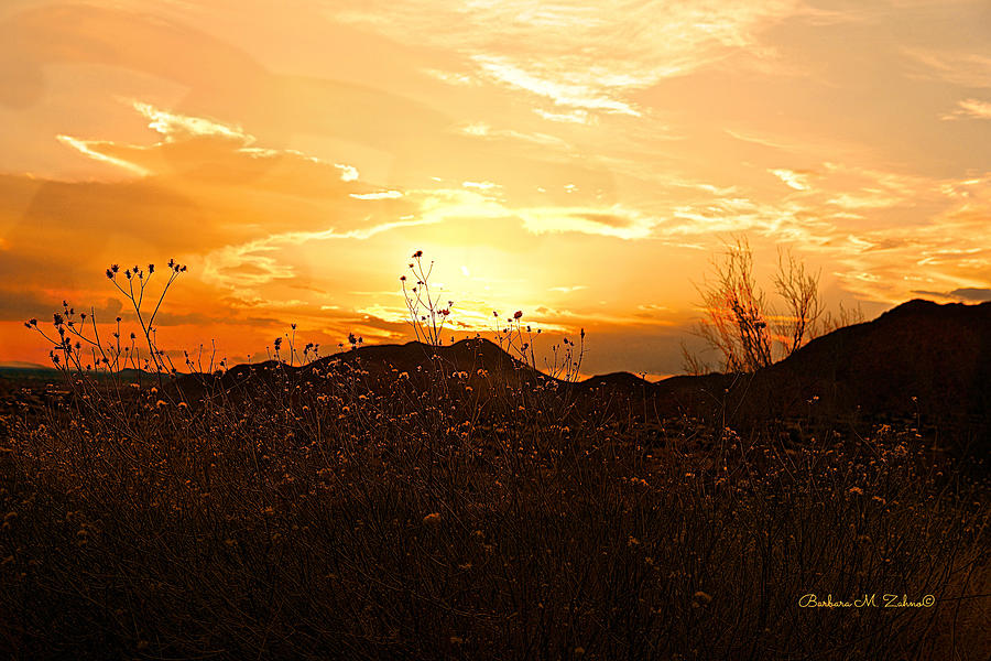 Arizona Sunset II Photograph by Barbara Zahno