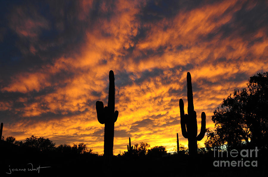 Arizona Sunset Photograph by Joanne West