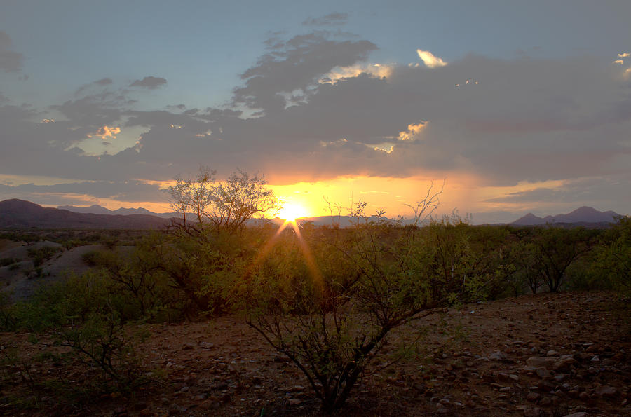 Arizona Sunset Photograph by John Daly