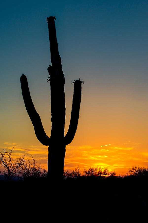 Arizona Sunset Photograph