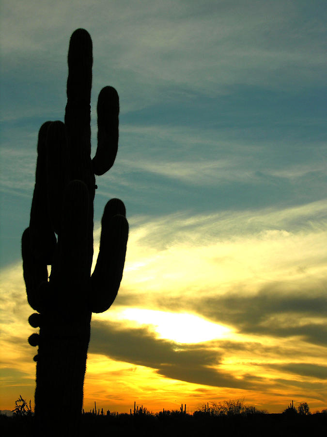 Arizona Sunset Photograph by Robert Lozen