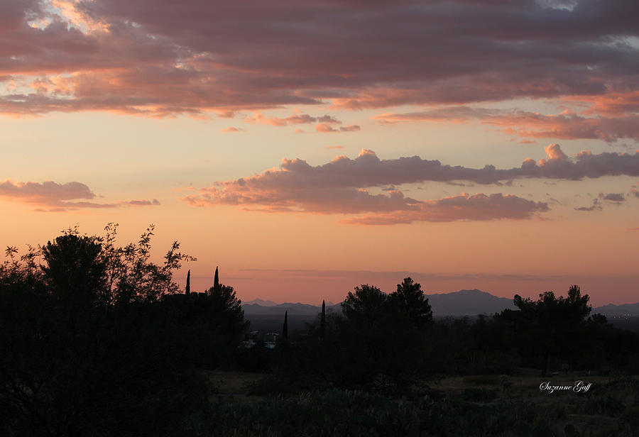 Arizona Sunset Photograph by Suzanne Gaff