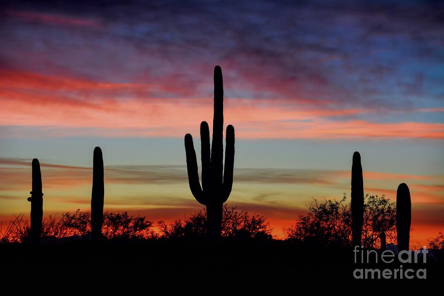 Arizona Sunset Symmetry Photograph by Henry Kowalski