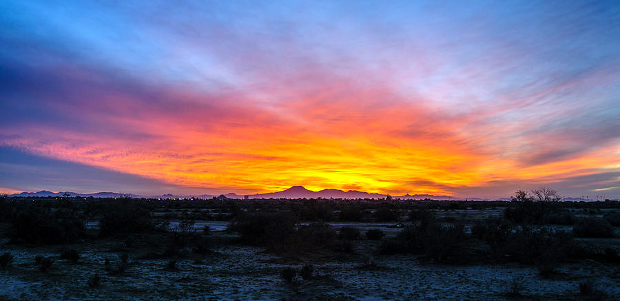 Arizona Sunset Photograph by Tam Ryan