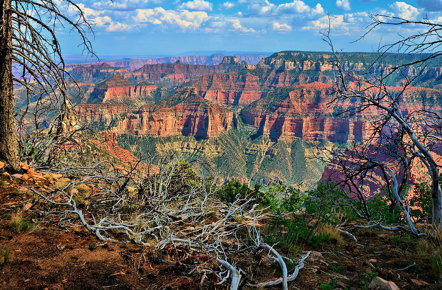 Arizona Urban Sprawl Photograph by Lanis Rossi - Pixels