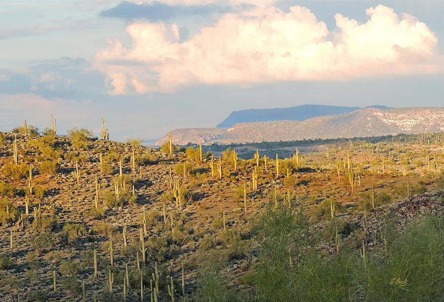 Phoenix Photograph - Arizona Vista by Gordon Beck