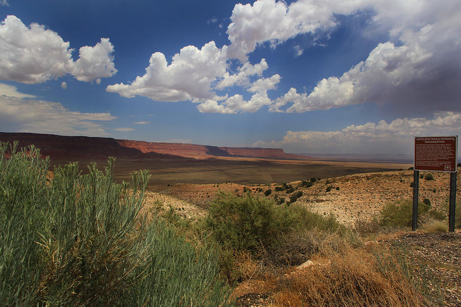 Arizona Vista Photograph by Joseph G Holland