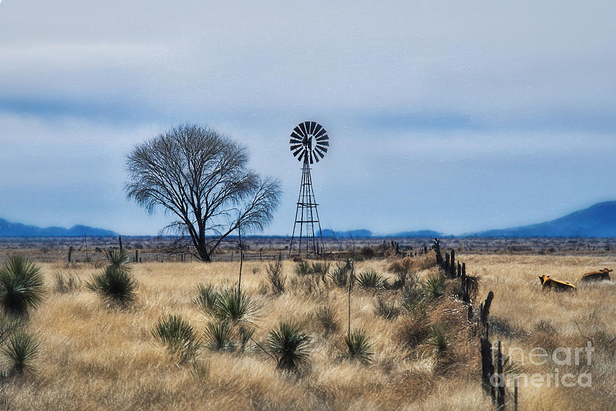Arizona Windmill Photograph by David Arment