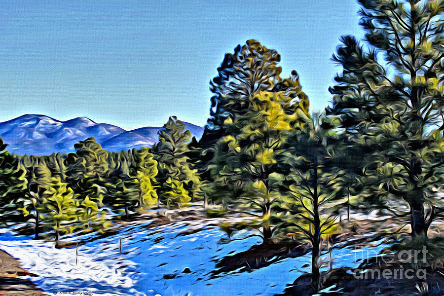 Pine Trees Photograph - Arizona Winter by Beauty For God Pine Trees Photograph - Arizona Winter by Beauty For God