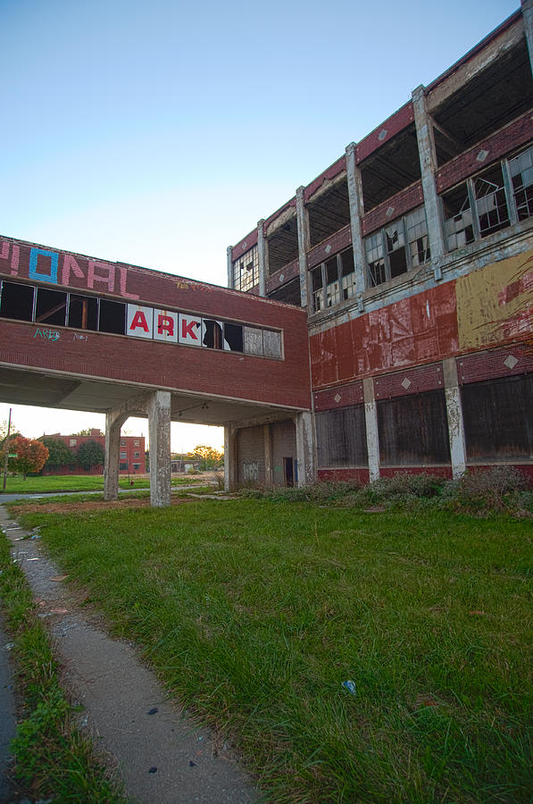 Ark at the Packard Plant Photograph by Steven Dunn