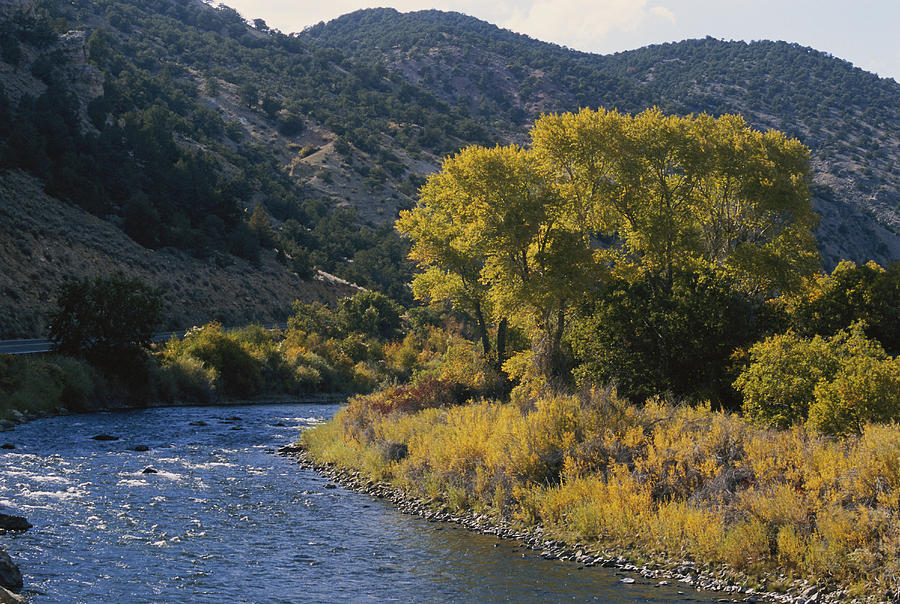 Arkansas River In Colorado Photograph by James Steinberg