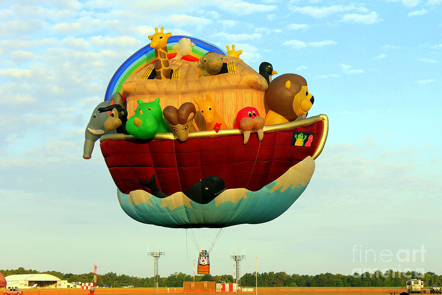 [Image: arky-hot-air-balloon-kathy-white.jpg]