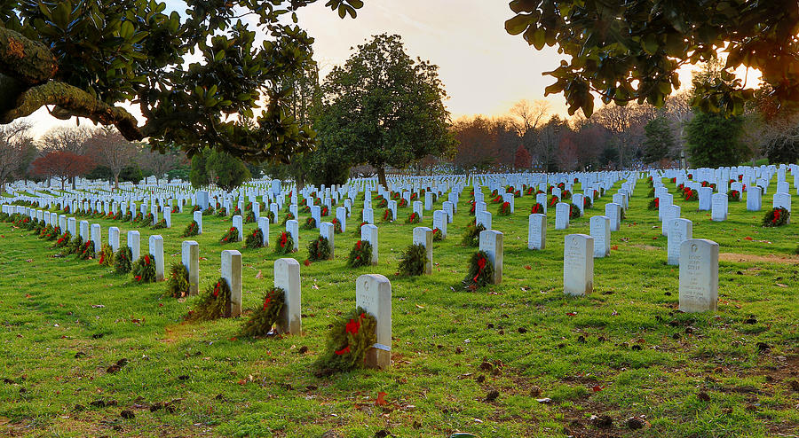 Arlington Cemetery Wreaths Photograph by Jack Nevitt