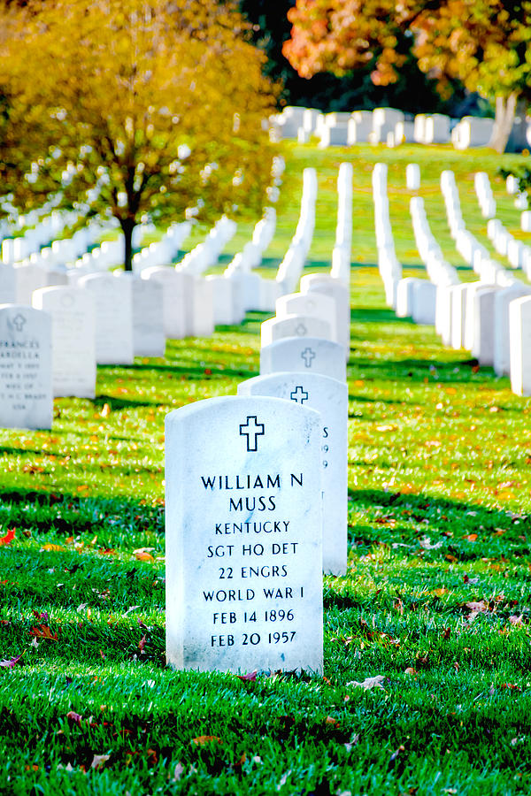 Arlington Photograph by Greg Fortier