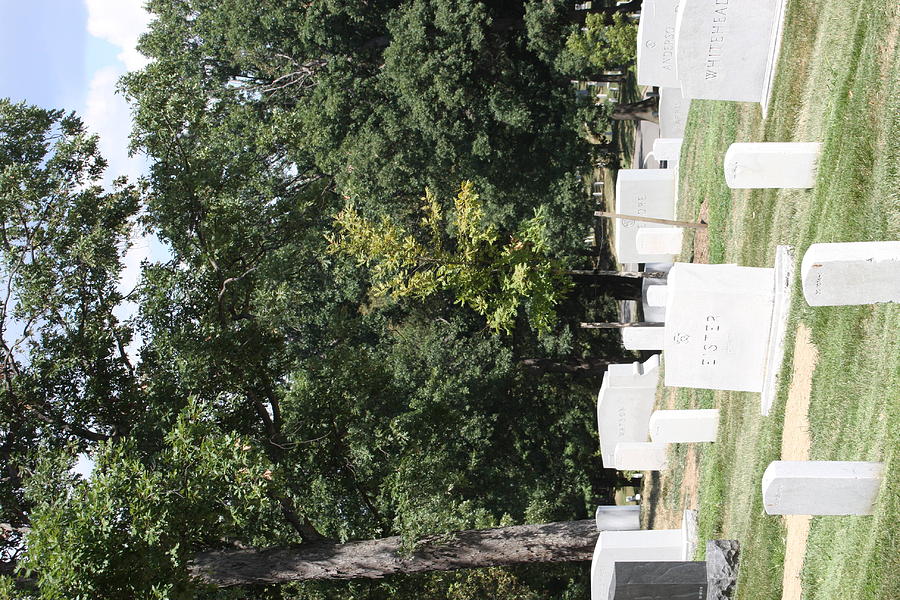 Arlington Photograph - Arlington National Cemetery - 121236 by DC Photographer