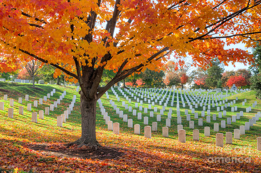 Arlington National Cemetery in Autumn I Photograph by Clarence Holmes