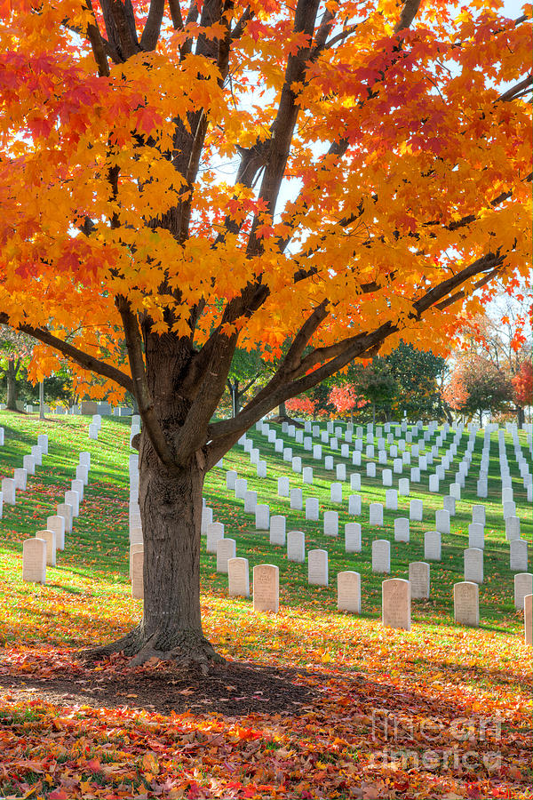 Arlington National Cemetery in Autumn II Photograph by Clarence Holmes