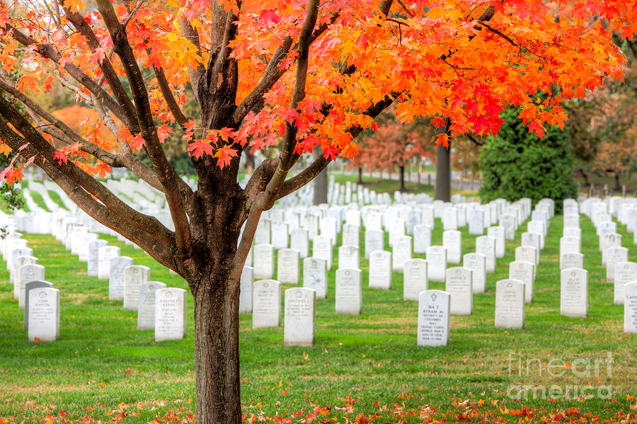 Arlington National Cemetery in Autumn III Photograph by Clarence Holmes