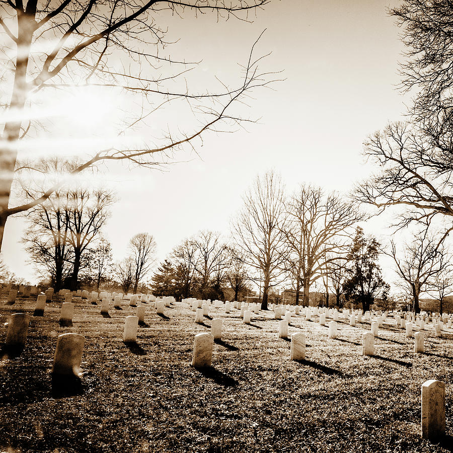 Tree Photograph - Arlington National Cemetery by Ron Koeberer