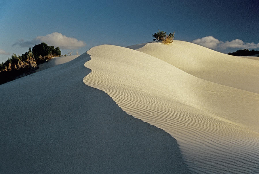 Arniston dunes Photograph by Dennis Cox