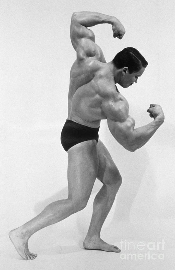 Arnold Schwarzenegger Photograph by Explorer