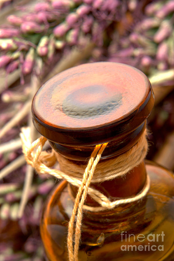 Aromatherapy Bottle Photograph by Olivier Le Queinec