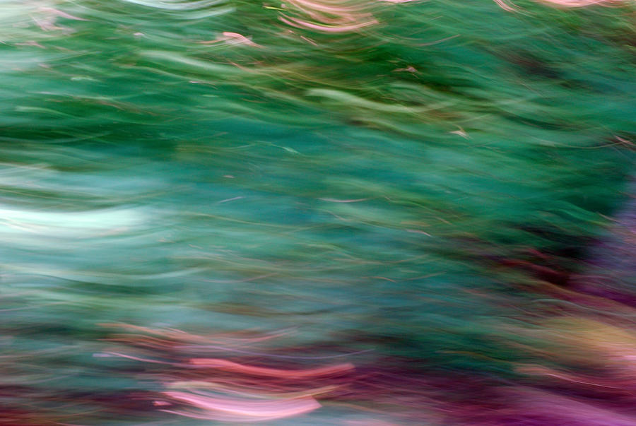 Aromatherapy Abstract Photograph by Connie Fox