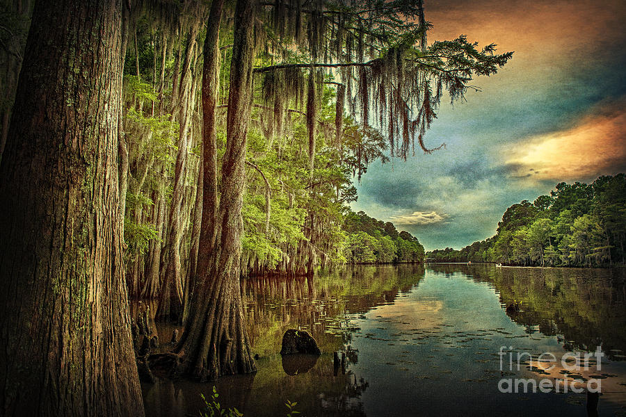 Around the Bend on Caddo Lake Photograph by Tamyra Ayles