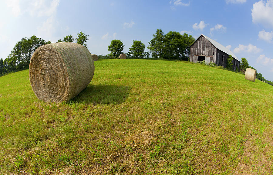 ARound the Farm Photograph by Alexey Stiop - Fine Art America