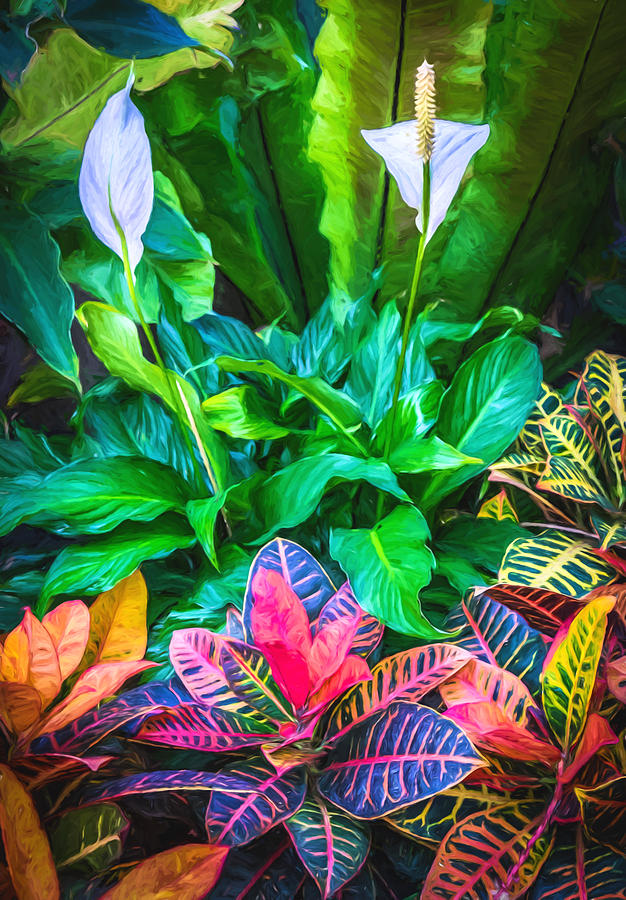 Arrangement of Croton and Spath - Digital Photo Art Photograph by Duane Miller